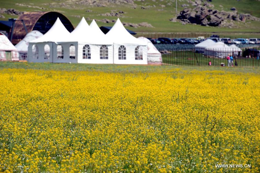 CHINA-XINJIANG-BURQIN-ARGONNE GHET GRASSLAND-SCENERY (CN) 