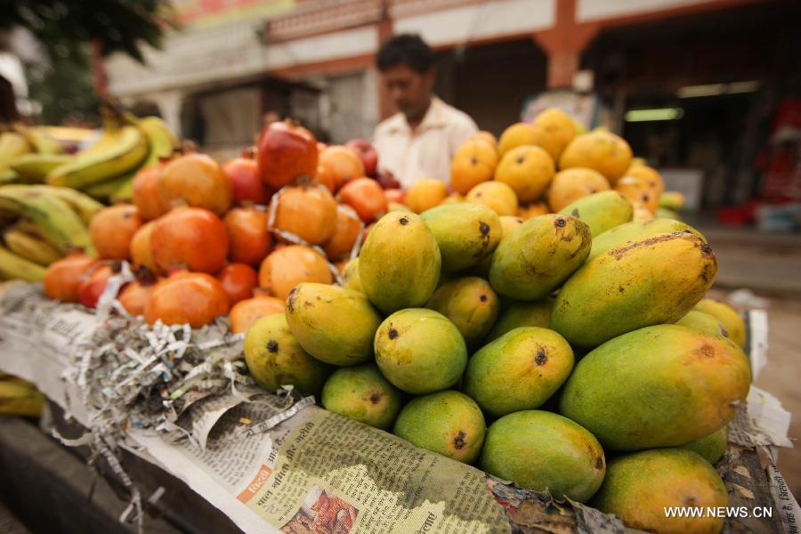 INDIA-RAJASTHAN-JAIPUR-LIFESTYLE-COLOUR