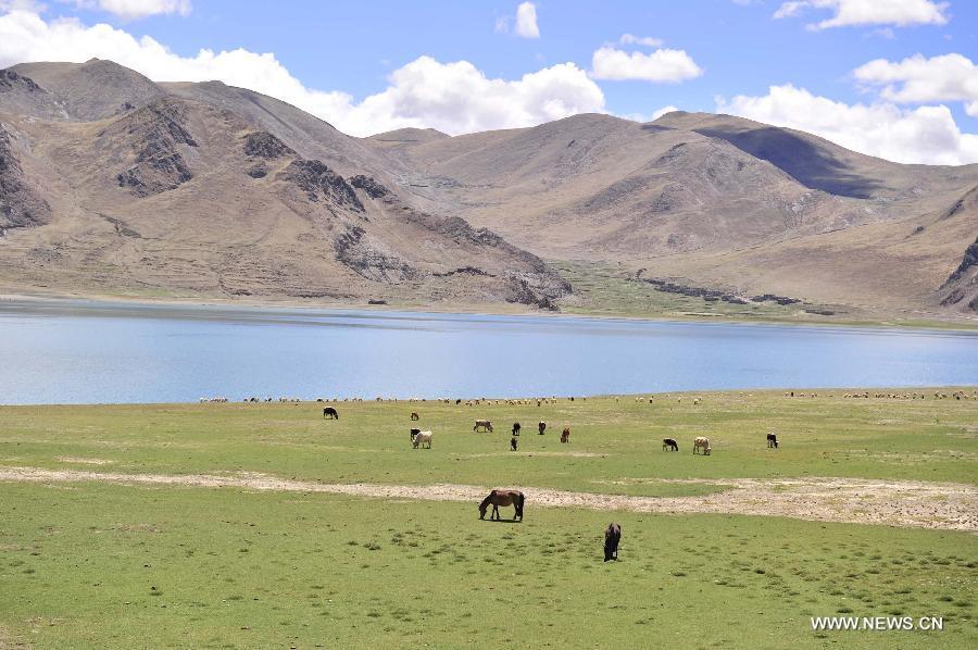 CHINA-TIBET-TOURISM (CN) 