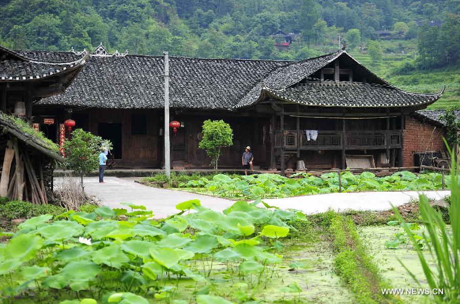 Photo taken on June 16, 2013 shows the wooden Diaojiaolou, or stilted houses in Shiyanping Village, Wangjiaping Township of Zhangjiajie City in central China's Hunan Province. 