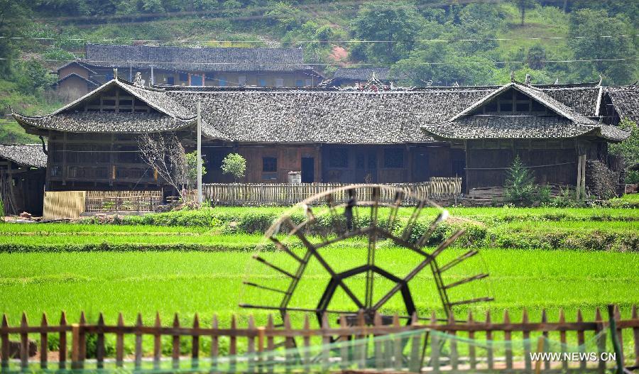 Photo taken on June 16, 2013 shows the wooden Diaojiaolou, or stilted houses in Shiyanping Village, Wangjiaping Township of Zhangjiajie City in central China's Hunan Province. 