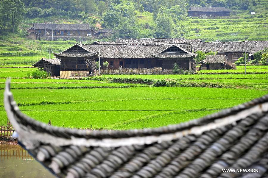 Photo taken on June 16, 2013 shows the wooden Diaojiaolou, or stilted houses in Shiyanping Village, Wangjiaping Township of Zhangjiajie City in central China's Hunan Province. 