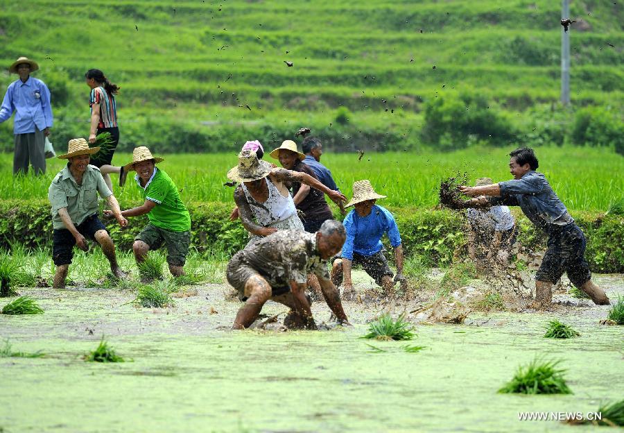 Photo taken on June 16, 2013 shows the wooden Diaojiaolou, or stilted houses in Shiyanping Village, Wangjiaping Township of Zhangjiajie City in central China's Hunan Province. 