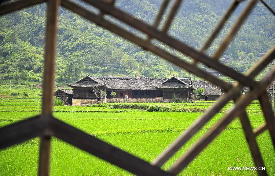 Photo taken on June 16, 2013 shows the wooden Diaojiaolou, or stilted houses in Shiyanping Village, Wangjiaping Township of Zhangjiajie City in central China's Hunan Province. 