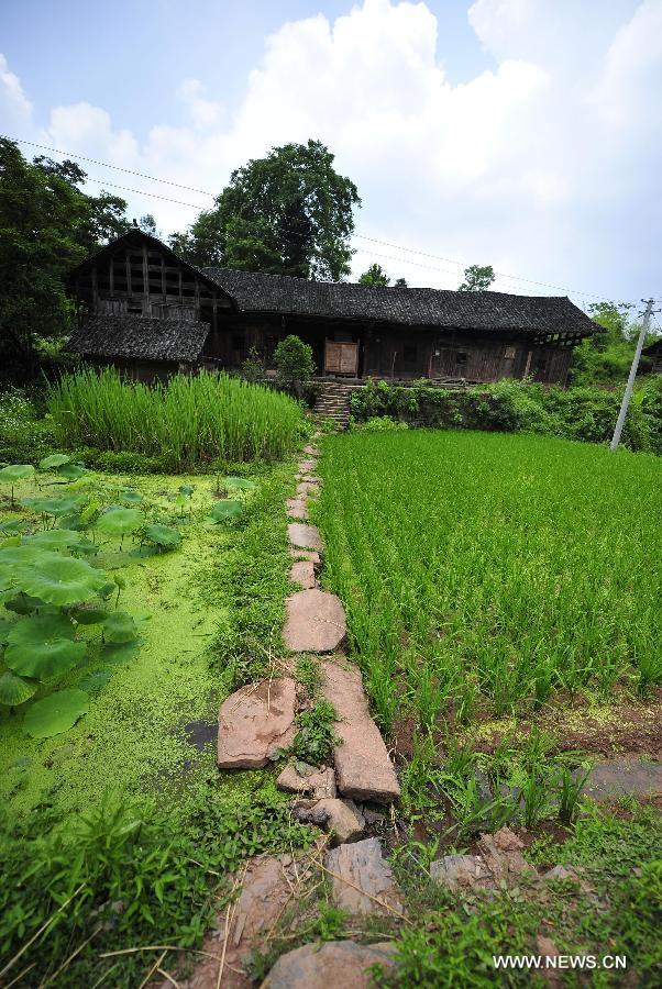 Photo taken on June 16, 2013 shows the wooden Diaojiaolou, or stilted houses in Shiyanping Village, Wangjiaping Township of Zhangjiajie City in central China's Hunan Province. 