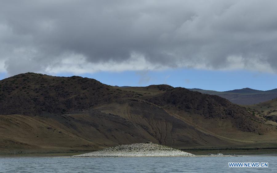 CHINA-TIBET-YAMDROK LAKE-BIRD ISLAND(CN)