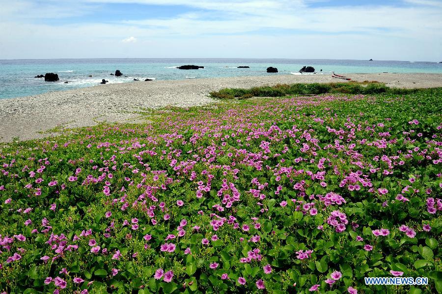 CHINA-TAIWAN-LANYU ISLAND(CN)
