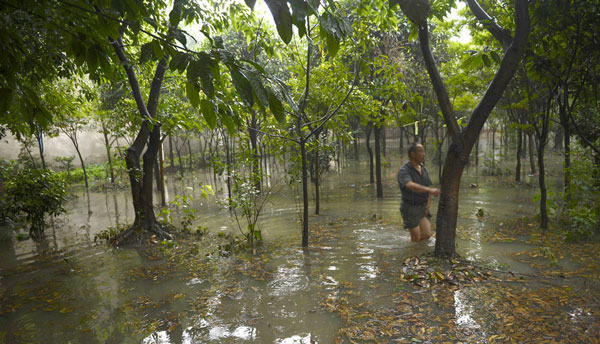 Overnight rainstorms damage local villagers' nursery in Chengdu, Southwest China's Sichuan province on June 20, 2013. [Photo/Xinhua] 