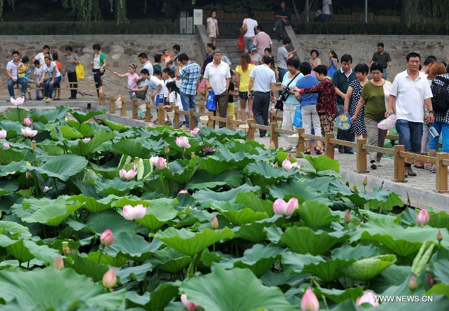 CHINA-HENAN-ZHENGZHOU-LOTUS (CN)