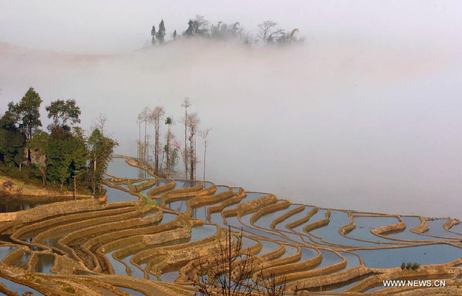 CHINA-YUNNAN-HONGHE HANI RICE TERRACES-WORLD HERITAGE LIST(CN)