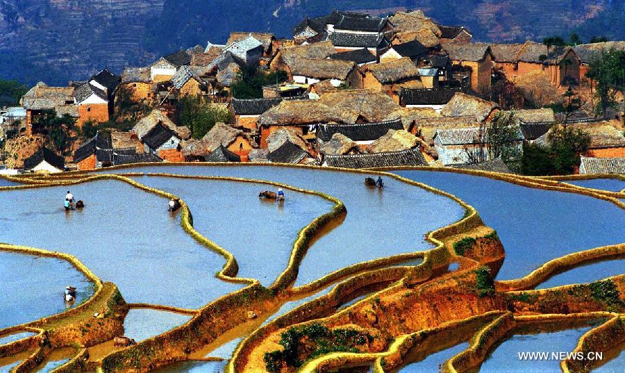 CHINA-YUNNAN-HONGHE HANI RICE TERRACES-WORLD HERITAGE LIST(CN)