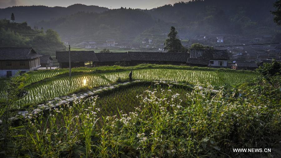 CHINA-GUIZHOU-LIPING-DIMEN-DONG MINORITY-VILLAGE(CN)