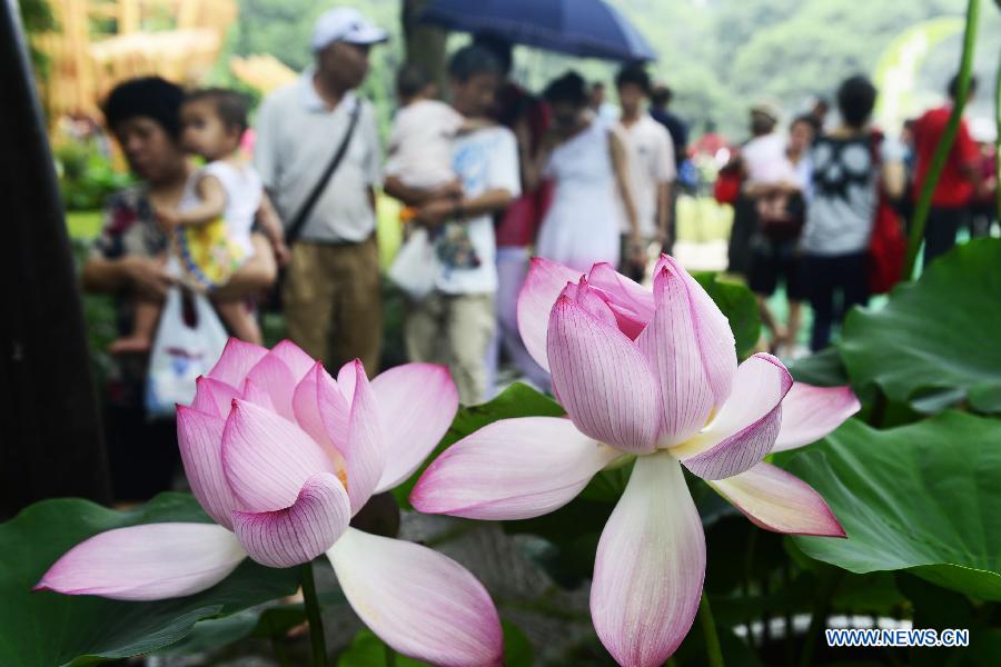 #CHINA-HANGZHOU-LOTUS FLOWER-FESTIVAL (CN)