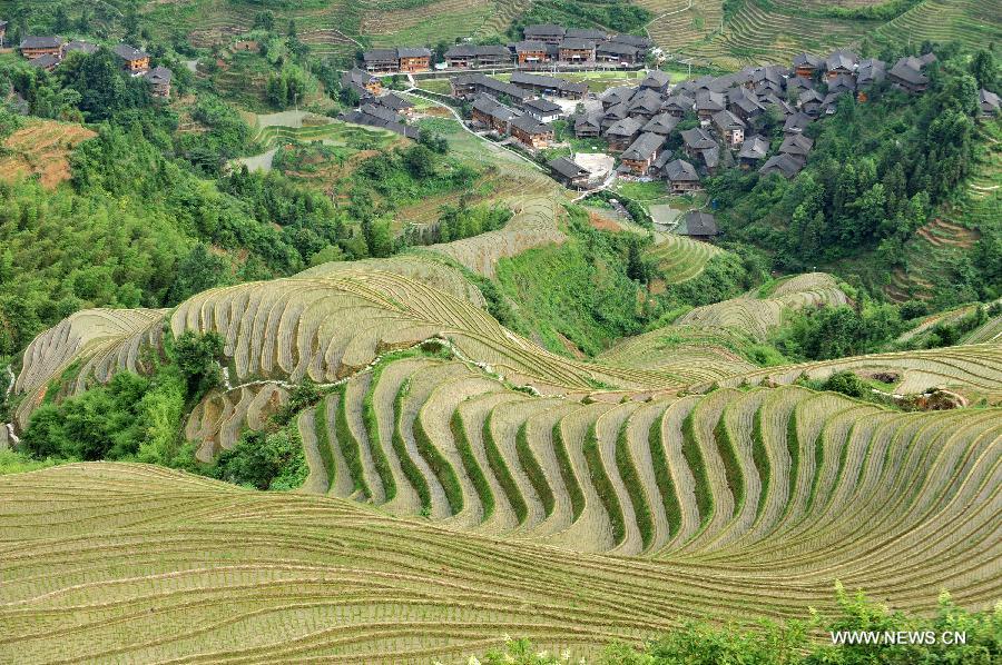 CHINA-GUANGXI-LONGSHENG-TERRACED FIELDS (CN)