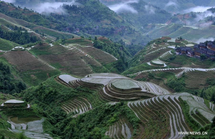 CHINA-GUANGXI-LONGSHENG-TERRACED FIELDS (CN)