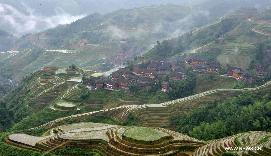 CHINA-GUANGXI-LONGSHENG-TERRACED FIELDS (CN)