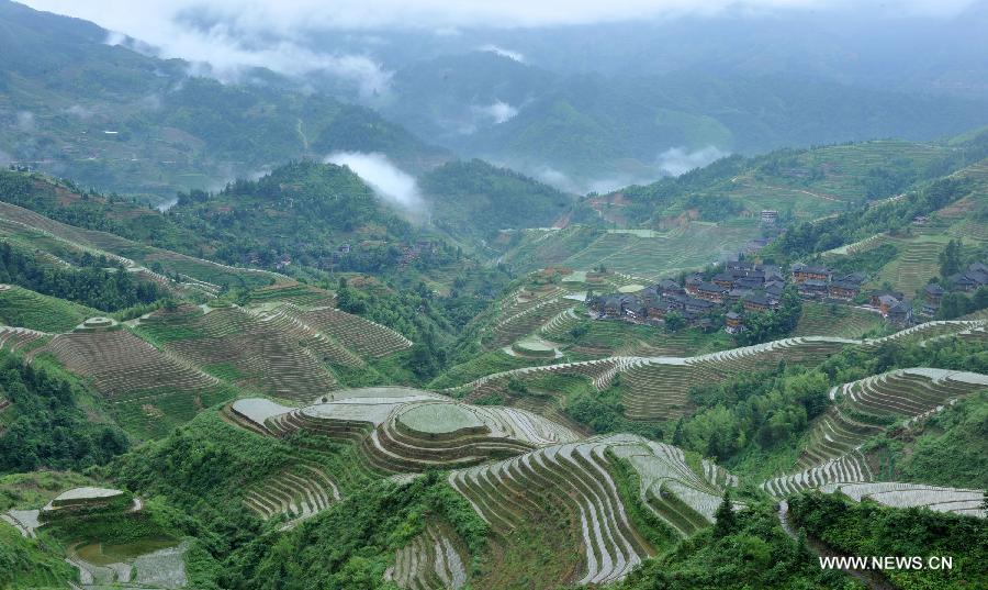 CHINA-GUANGXI-LONGSHENG-TERRACED FIELDS (CN)