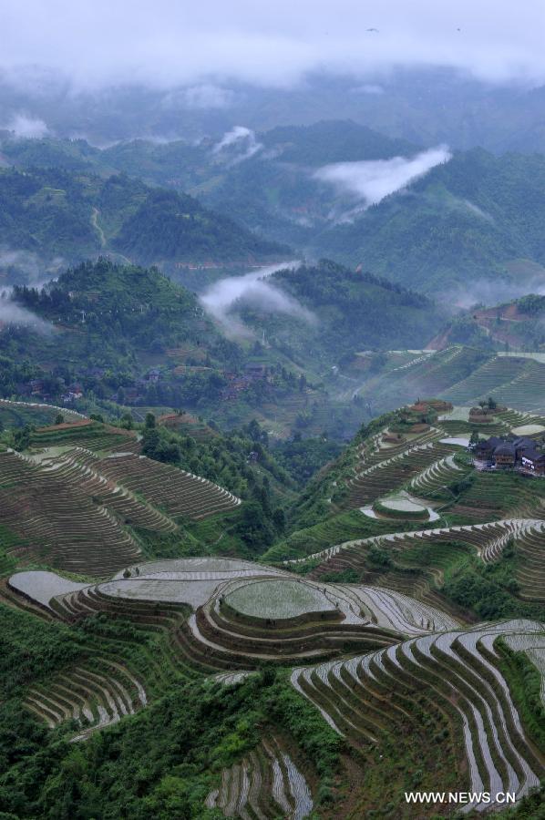 CHINA-GUANGXI-LONGSHENG-TERRACED FIELDS (CN)