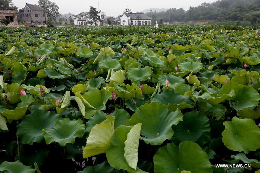 CHINA-HENAN-HAOTANG VILLAGE-SCENERY (CN)