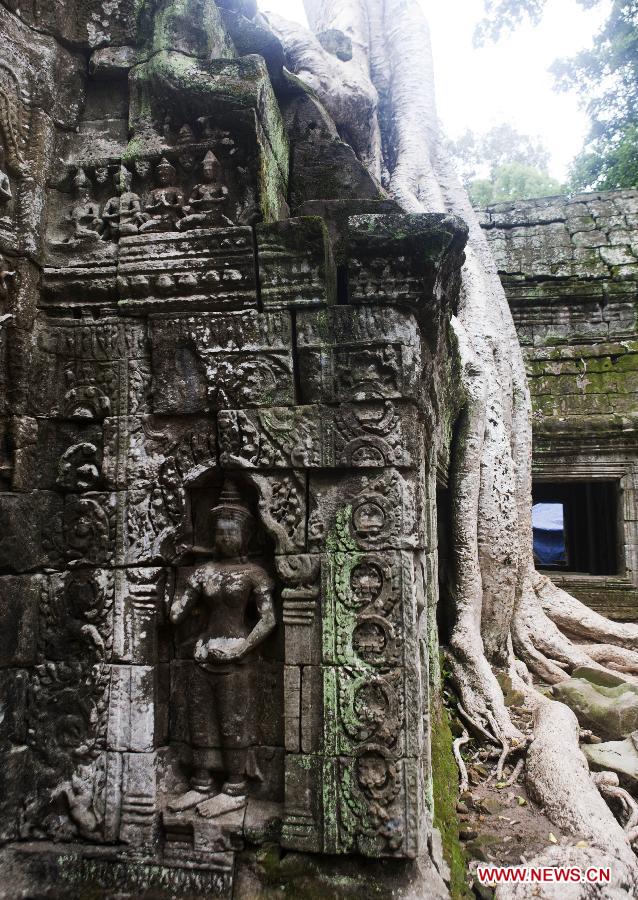 CAMBODIA-SIEM REAP-ANGKOR-TA PROHM TEMPLE-TOURISM