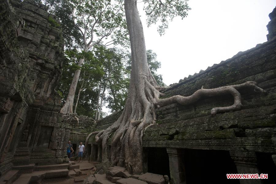 CAMBODIA-SIEM REAP-ANGKOR-TA PROHM TEMPLE-TOURISM