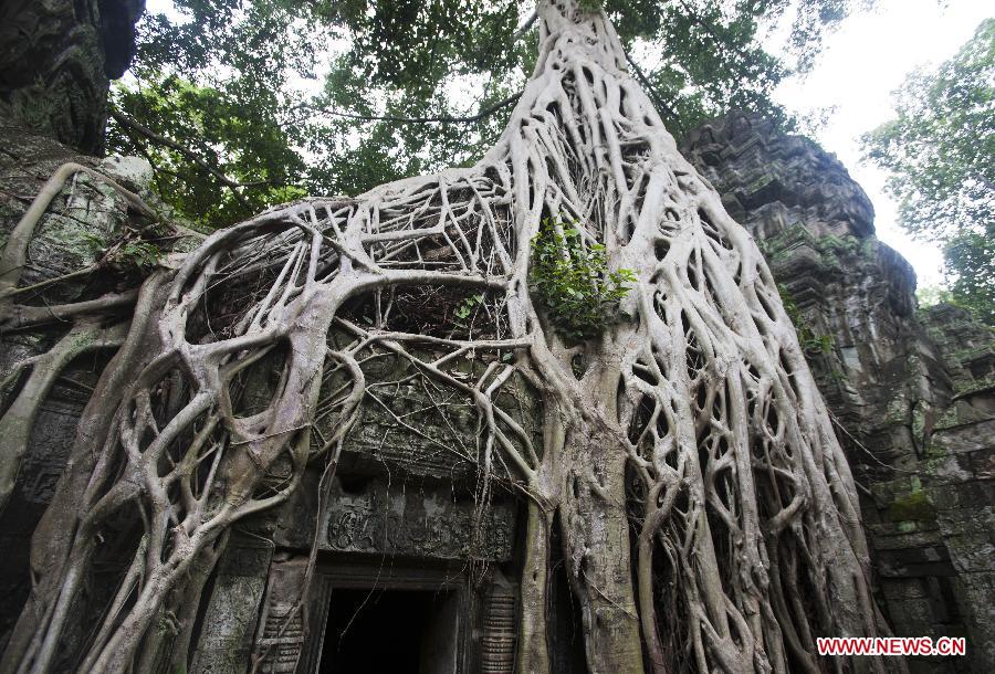 CAMBODIA-SIEM REAP-ANGKOR-TA PROHM TEMPLE-TOURISM