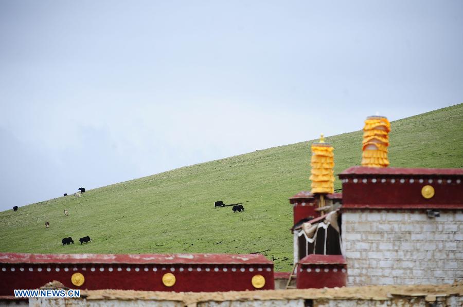 CHINA-TIBET-ANDUO COUNTY-NAIMU TEMPLE (CN)