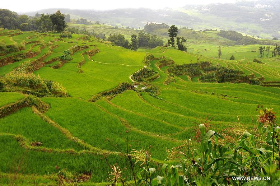 CHINA-YUNNAN-YUANYANG-SCENERY (CN)