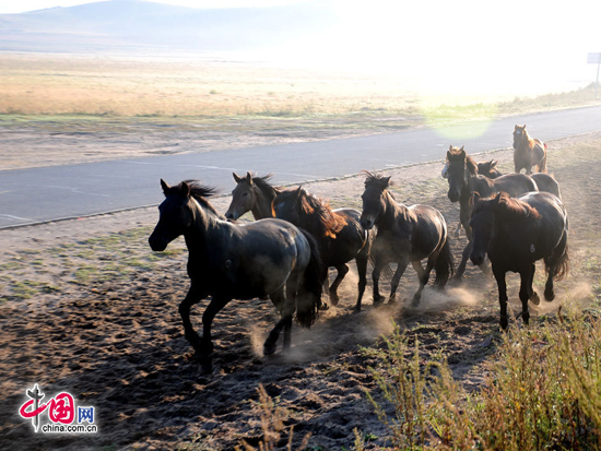 Mulan Weichang, one of the 'Top 10 attractions in Hebei, China' by China.org.cn