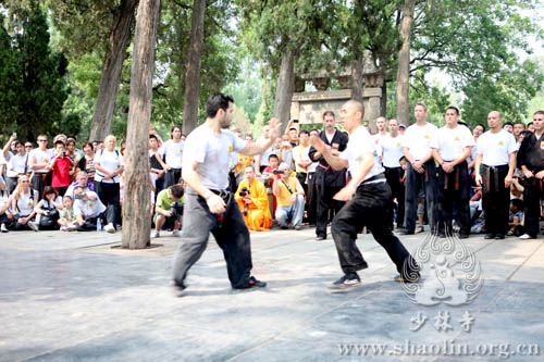 Members from the USSD perform martial arts.[Photo/Shaolin.org.cn]