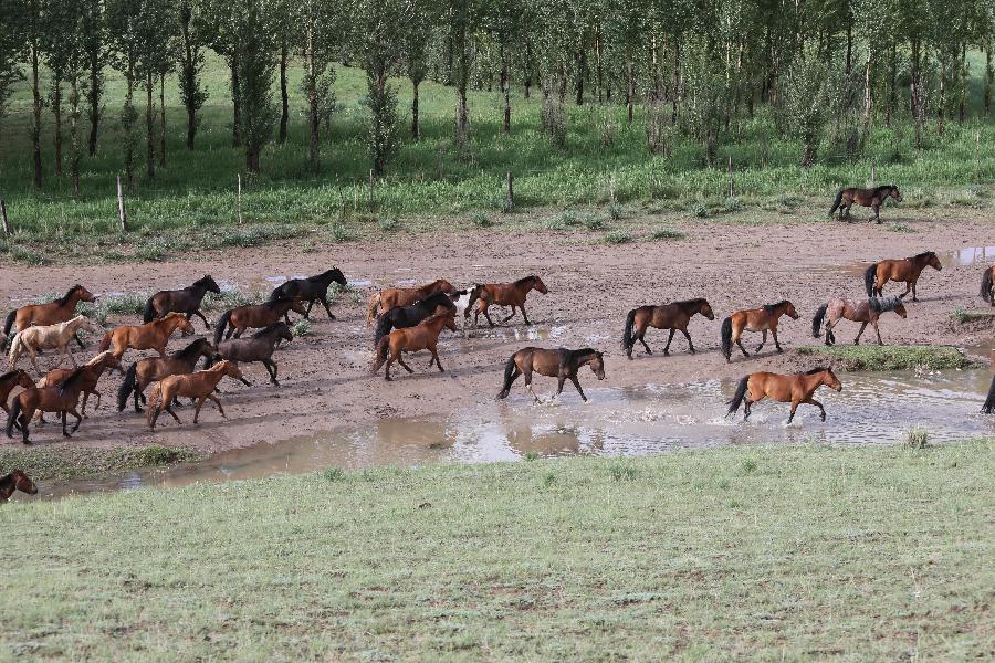 #CHINA-INNER MONGOLIA-TOURISM (CN) 