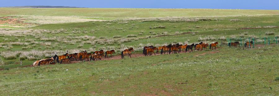 #CHINA-INNER MONGOLIA-TOURISM (CN) 