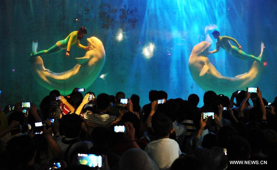 CHINA-HARBIN-BELUGA-PERFORMANCE (CN)