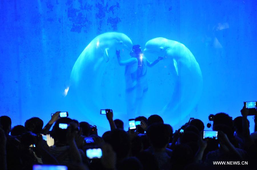 CHINA-HARBIN-BELUGA-PERFORMANCE (CN)