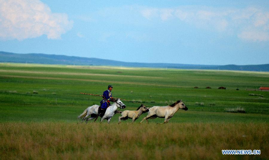 CHINA-INNER MONGOLIA-WEST UJIMQIN BANNER-WHITE HORSES (CN)