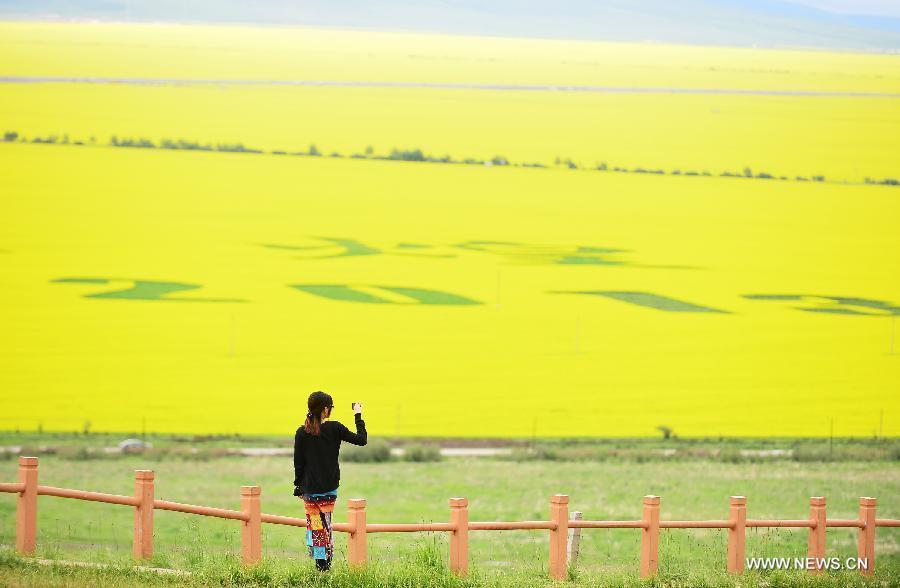 CHINA-QINGHAI-MENYUAN-RAPE FLOWER-SCENERY (CN)