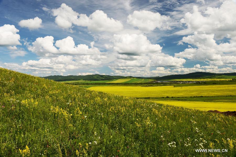 #CHINA-INNER MONGOLIA-HULUNBEIER GRASSLAND (CN)