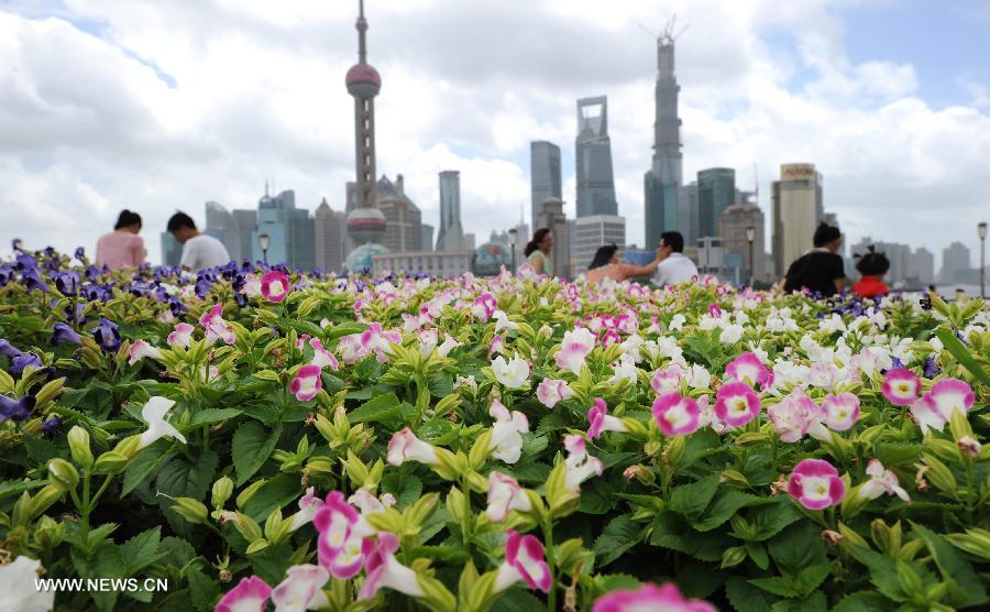 #CHINA-SHANGHAI-SCENERY (CN)