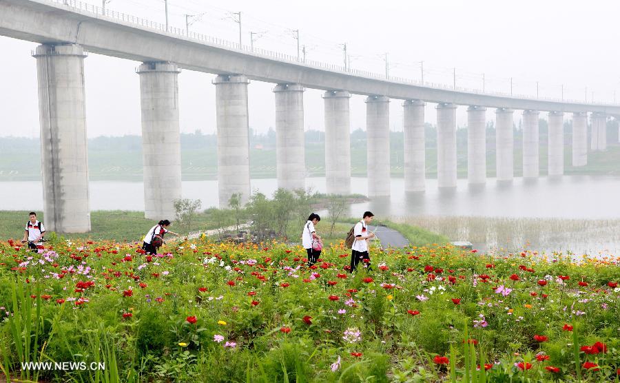 #CHINA-BEIJING-GARDEN EXPO PARK (CN)