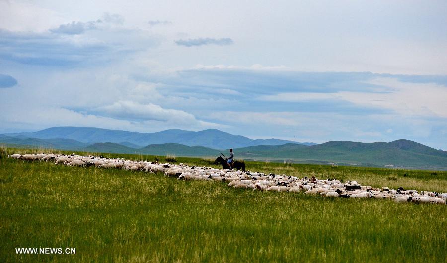 CHINA-INNER MONGOLIA-PASTURE-VIEW (CN) 