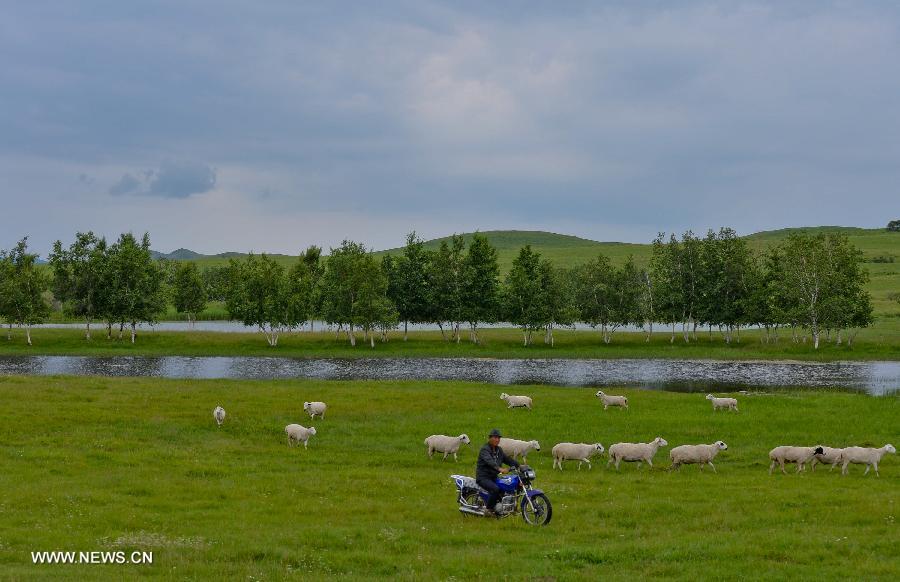 CHINA-INNER MONGOLIA-PASTURE-VIEW (CN) 