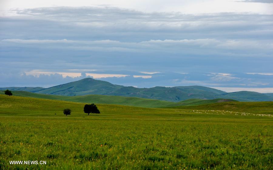 CHINA-INNER MONGOLIA-PASTURE-VIEW (CN) 