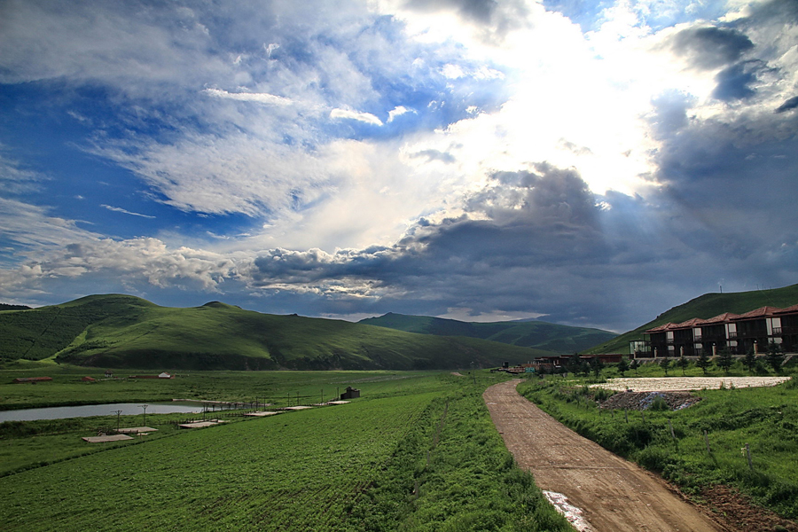 The special climate and geographical position at the junction of the North China Plain and the Inner Mongolia Grasslands give Bashang Grassland its unique natural landscapes and make it a popular destination for tourists and photographers.