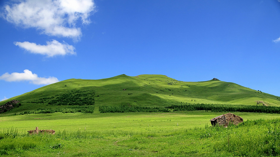 The special climate and geographical position at the junction of the North China Plain and the Inner Mongolia Grasslands give Bashang Grassland its unique natural landscapes and make it a popular destination for tourists and photographers.