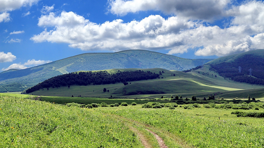 The special climate and geographical position at the junction of the North China Plain and the Inner Mongolia Grasslands give Bashang Grassland its unique natural landscapes and make it a popular destination for tourists and photographers.