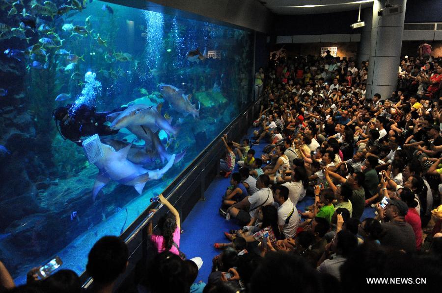 CHINA-SHANDONG-QINGDAO-UNDERWATER WORLD (CN) 