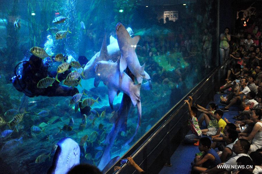 CHINA-SHANDONG-QINGDAO-UNDERWATER WORLD (CN) 