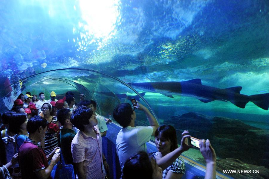 CHINA-SHANDONG-QINGDAO-UNDERWATER WORLD (CN) 