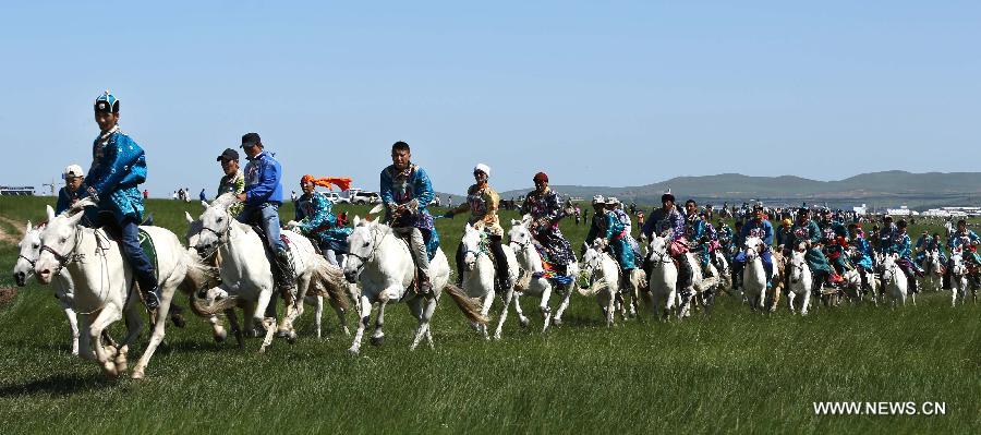 CHINA-INNER MONGOLIA-WEST UJIMQIN BANNER-WHITE HORSES (CN) 