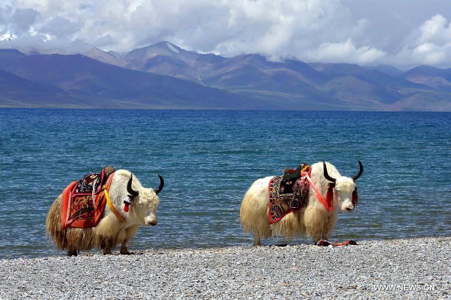 CHINA-TIBET-NAMTSO-TOURISM(CN) 